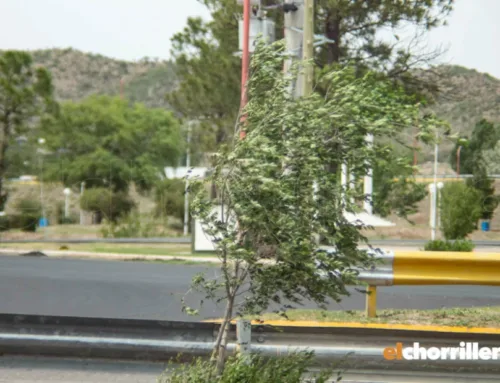 San Luis bajo alerta por fuertes vientos