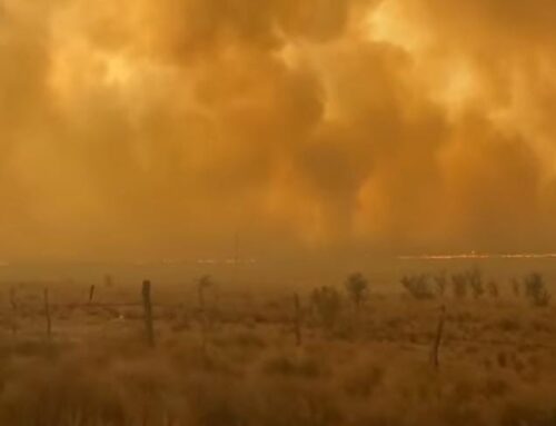 Incendios en Las Lagunas y Paso Grande: tres Bomberos heridos y esfuerzos de contención Intensificados