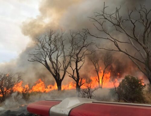 Brigadistas y bomberos voluntarios combaten un incendio de gran magnitud en el sur de San Luis