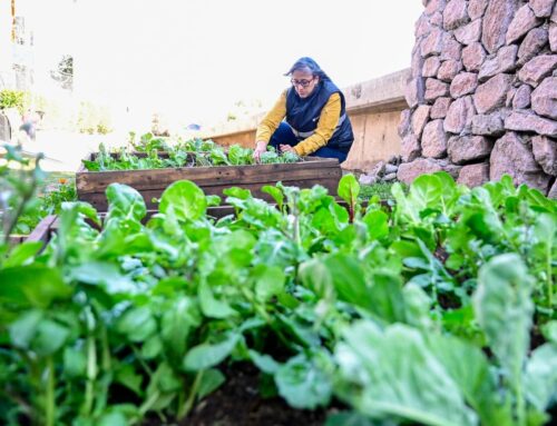 El sábado 2 de noviembre habrá una Expo Frutihortícola Gastronómica